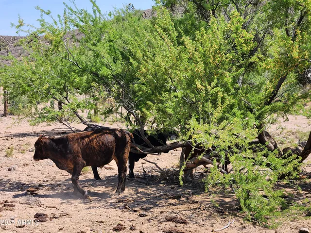 a bathroom with shower