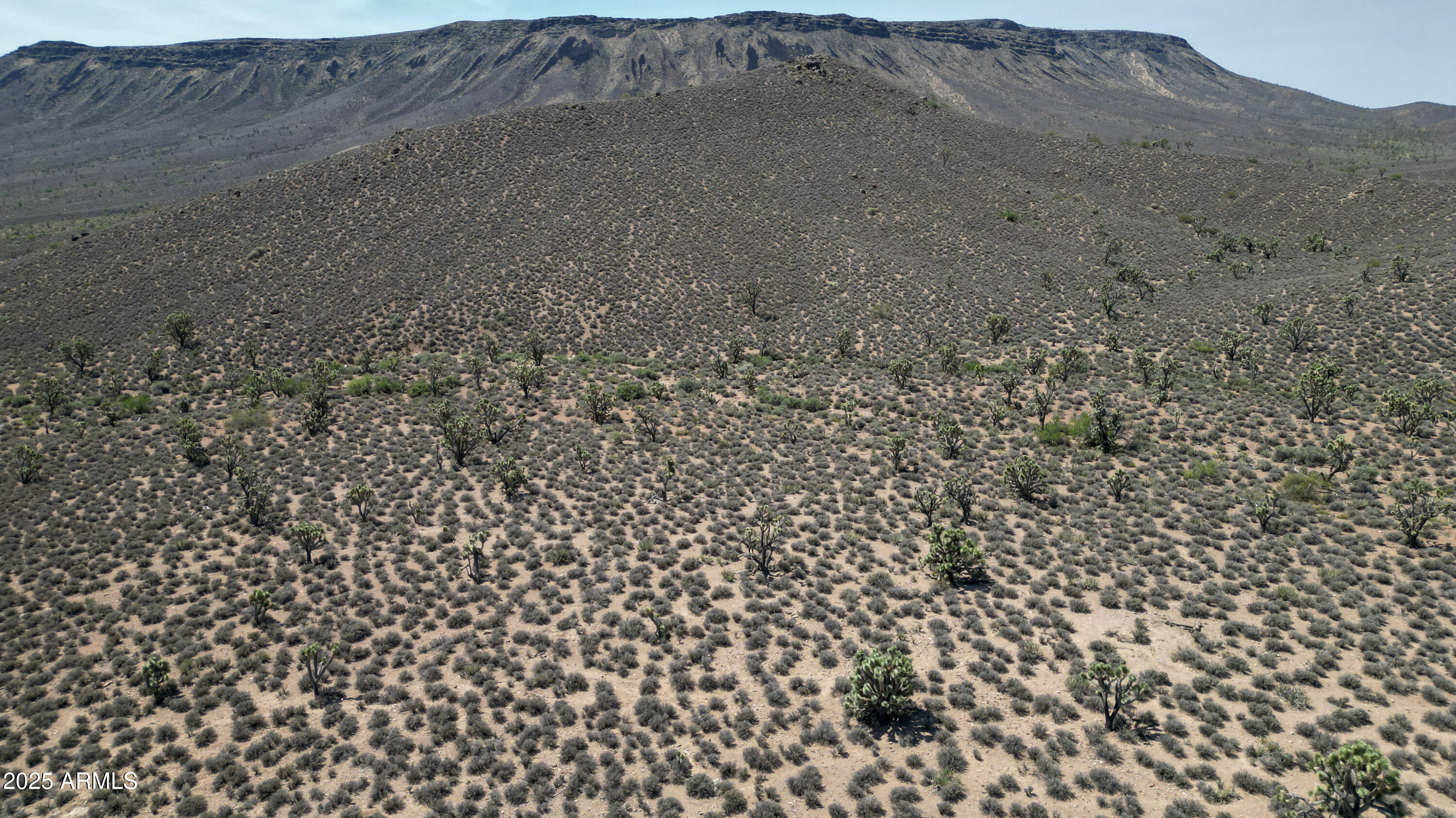 0 West Butcher Camp Road Willow Beach, AZ 86445 - Photo 4 of 37 a view of a dry yard