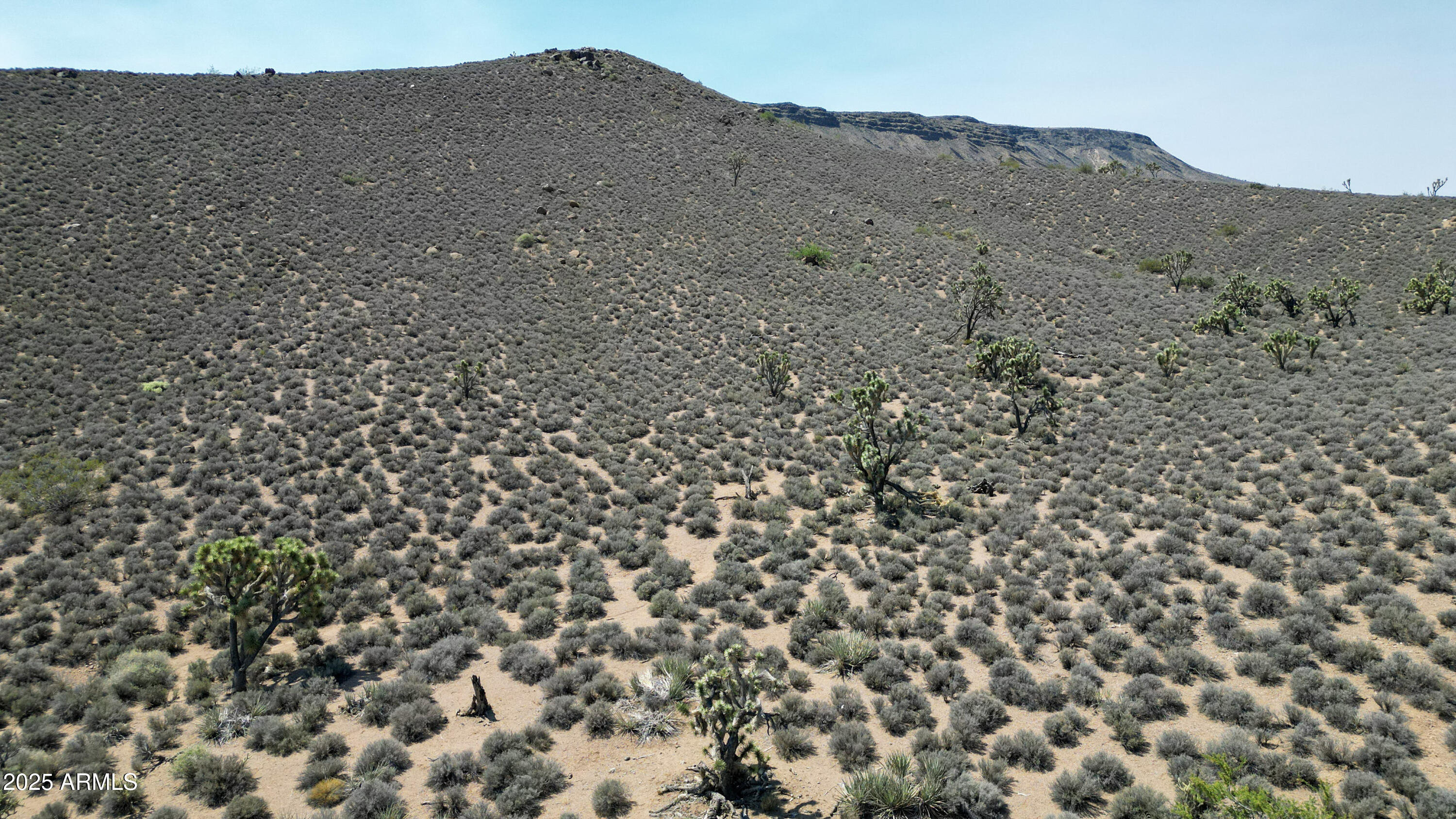 0 West Butcher Camp Road Willow Beach, AZ 86445 - Photo 5 of 37 a view of a dry field