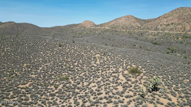 a view of a dry yard with mountains in the background