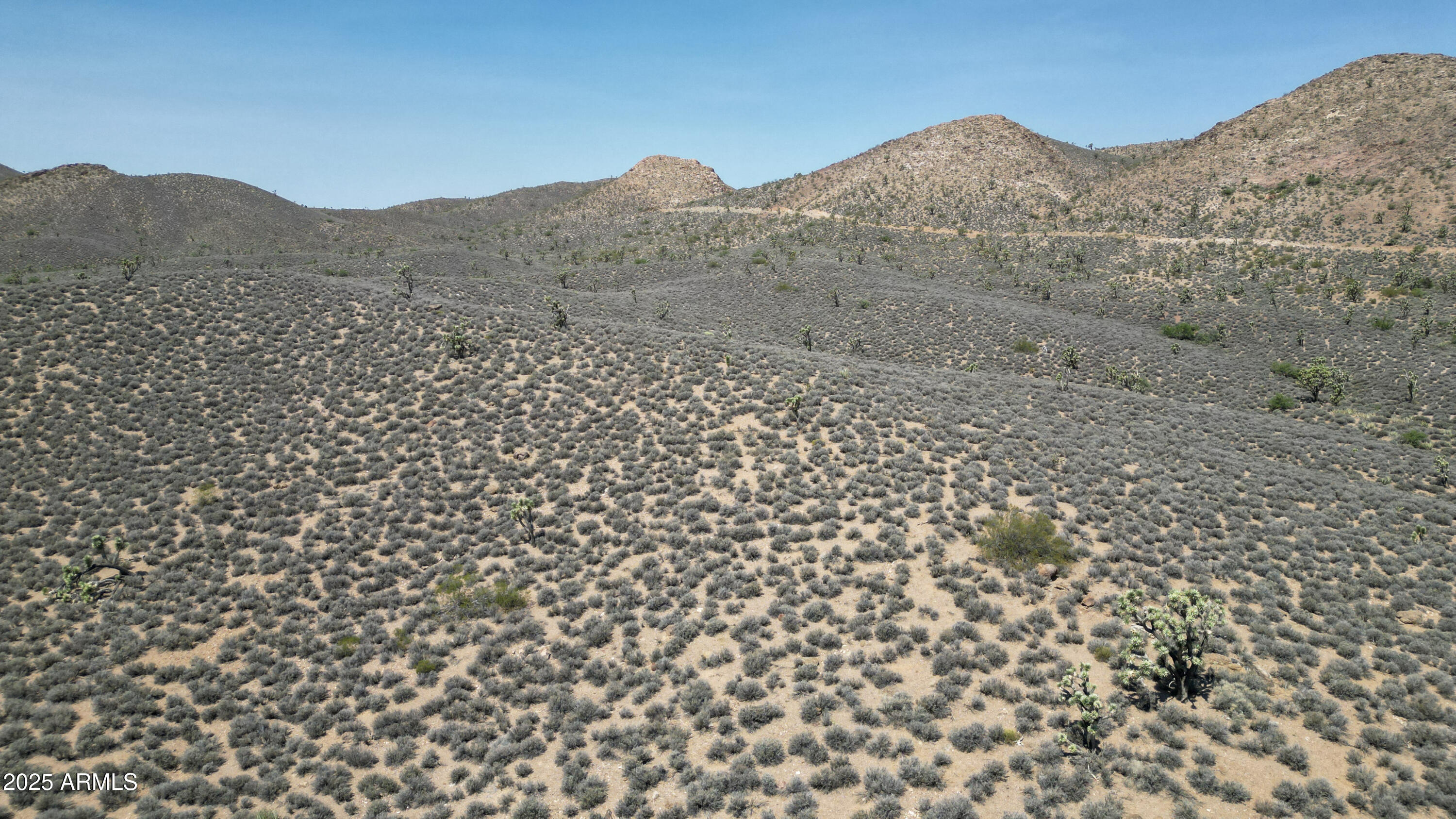 0 West Butcher Camp Road Willow Beach, AZ 86445 - Photo 6 of 37 a view of a dry yard with mountains in the background