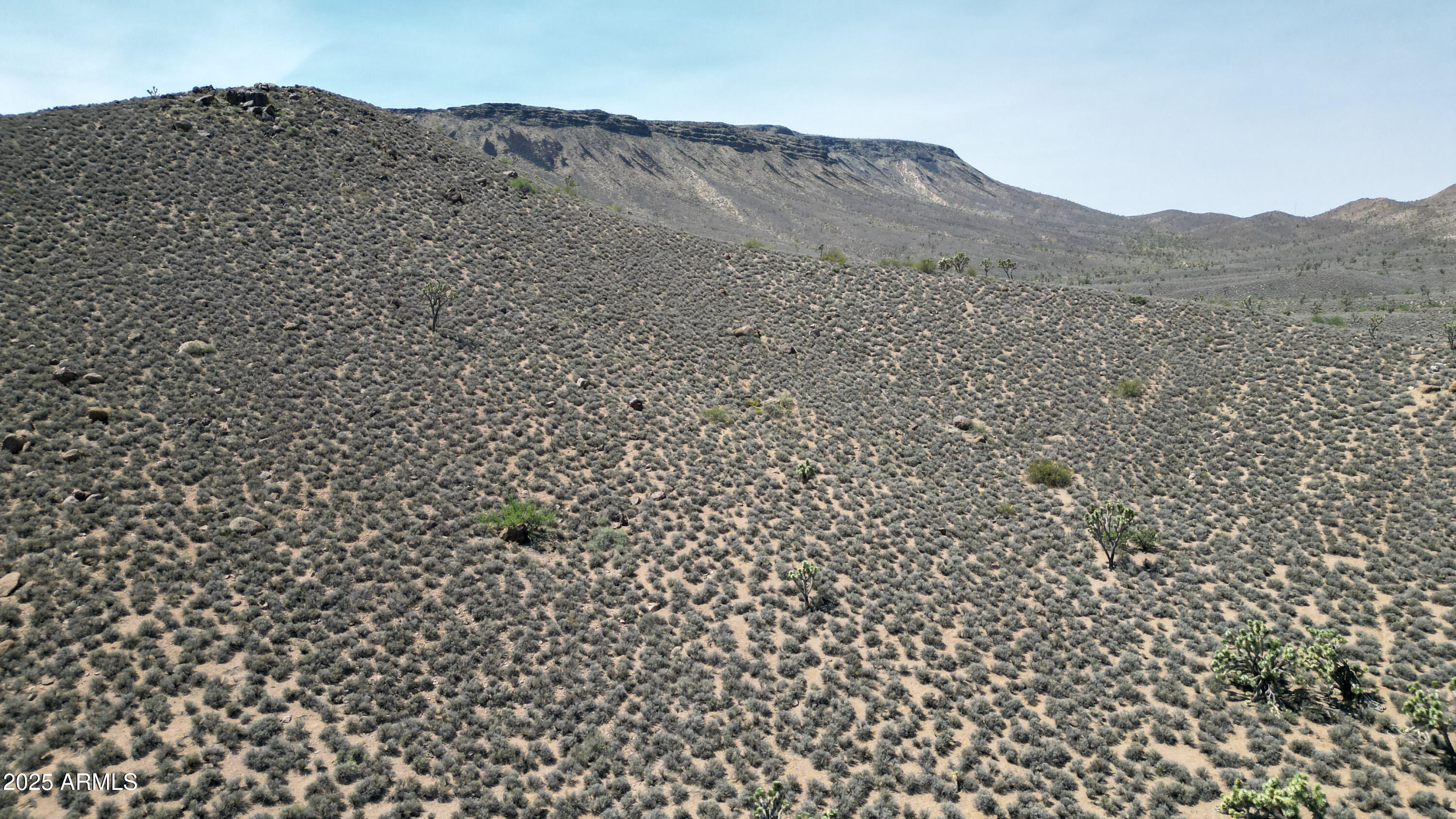 0 West Butcher Camp Road Willow Beach, AZ 86445 - Photo 7 of 37