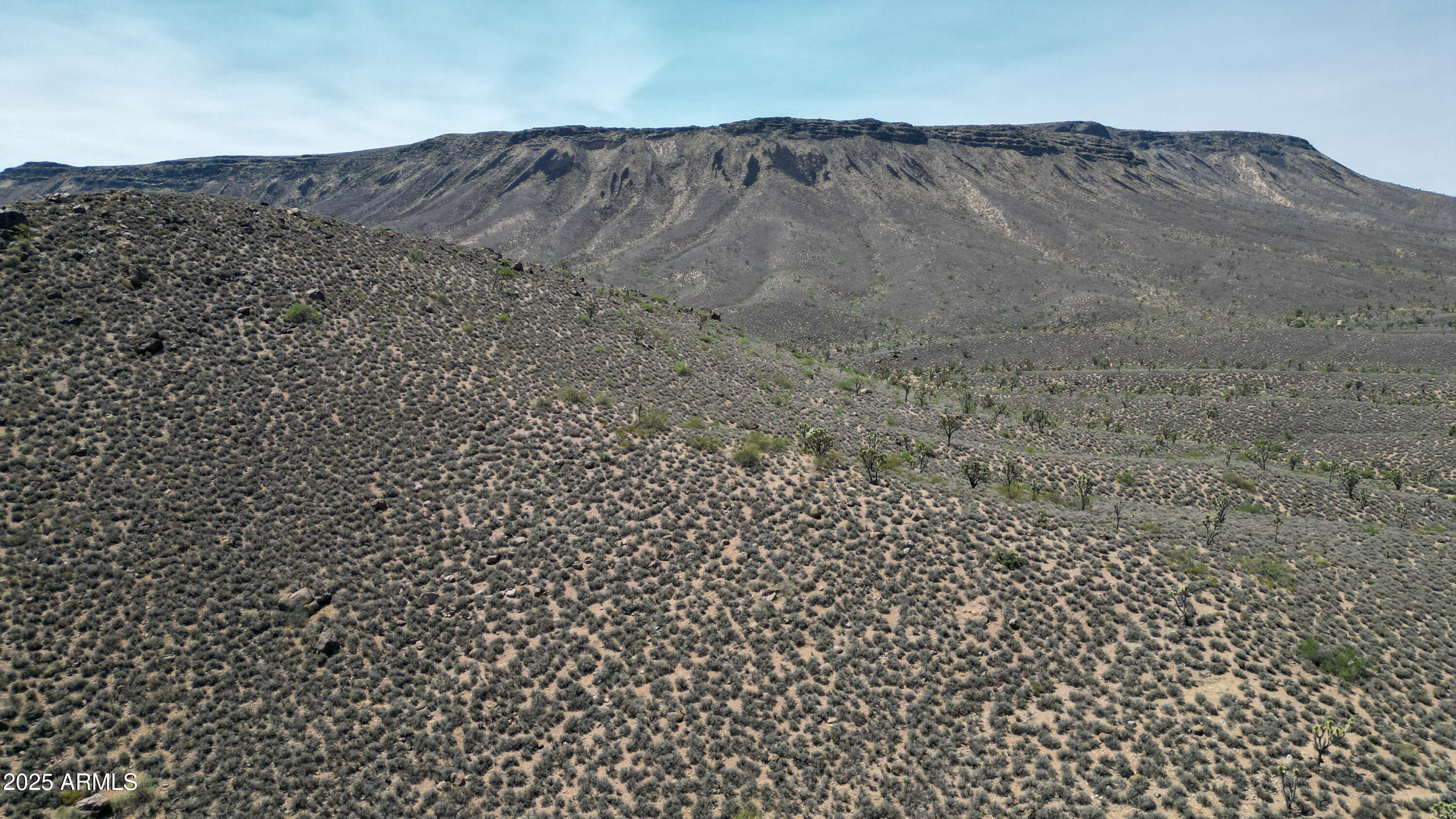 0 West Butcher Camp Road Willow Beach, AZ 86445 - Photo 8 of 37 a view of a dry field