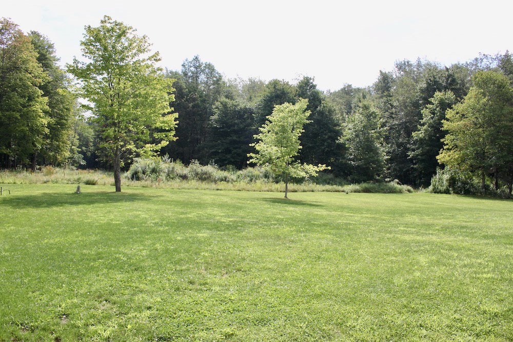 734 Big Egypt Road Seneca, PA 16346 - Photo 6 of 15 Gallery Image 6