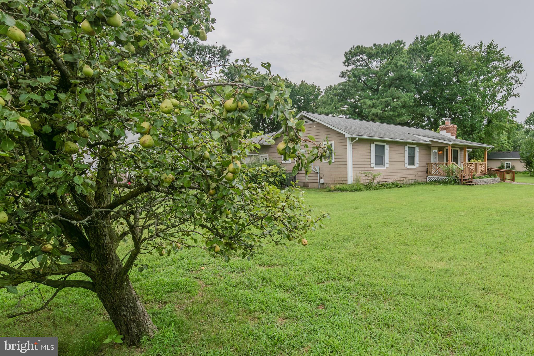 401 Kent Way Stevensville, MD 21666 - Photo 19 of 22 a view of a house with a yard