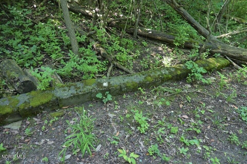 0 West River Road Grand Rapids, OH 43522 - Photo 21 of 22 Gallery Image 21