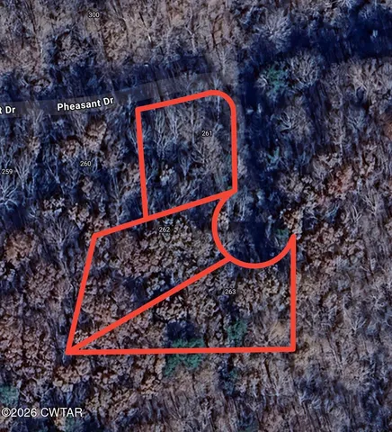 a view of a forest with trees in the background