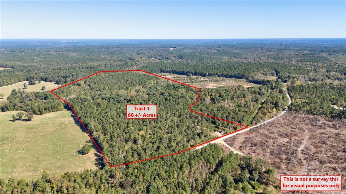 1 Bridges Road Carlton, GA 30627 - Photo 3 of 33