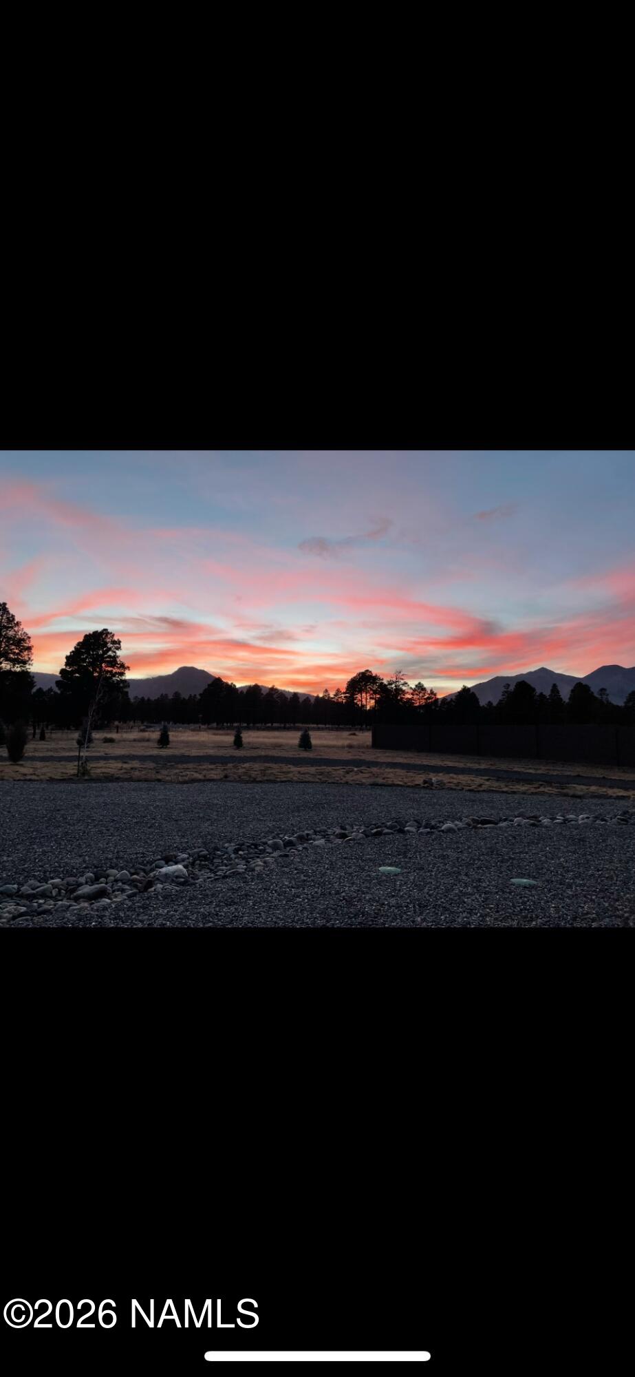 10290 Lundin Road Flagstaff, AZ 86004 - Photo 39 of 58 Backyard