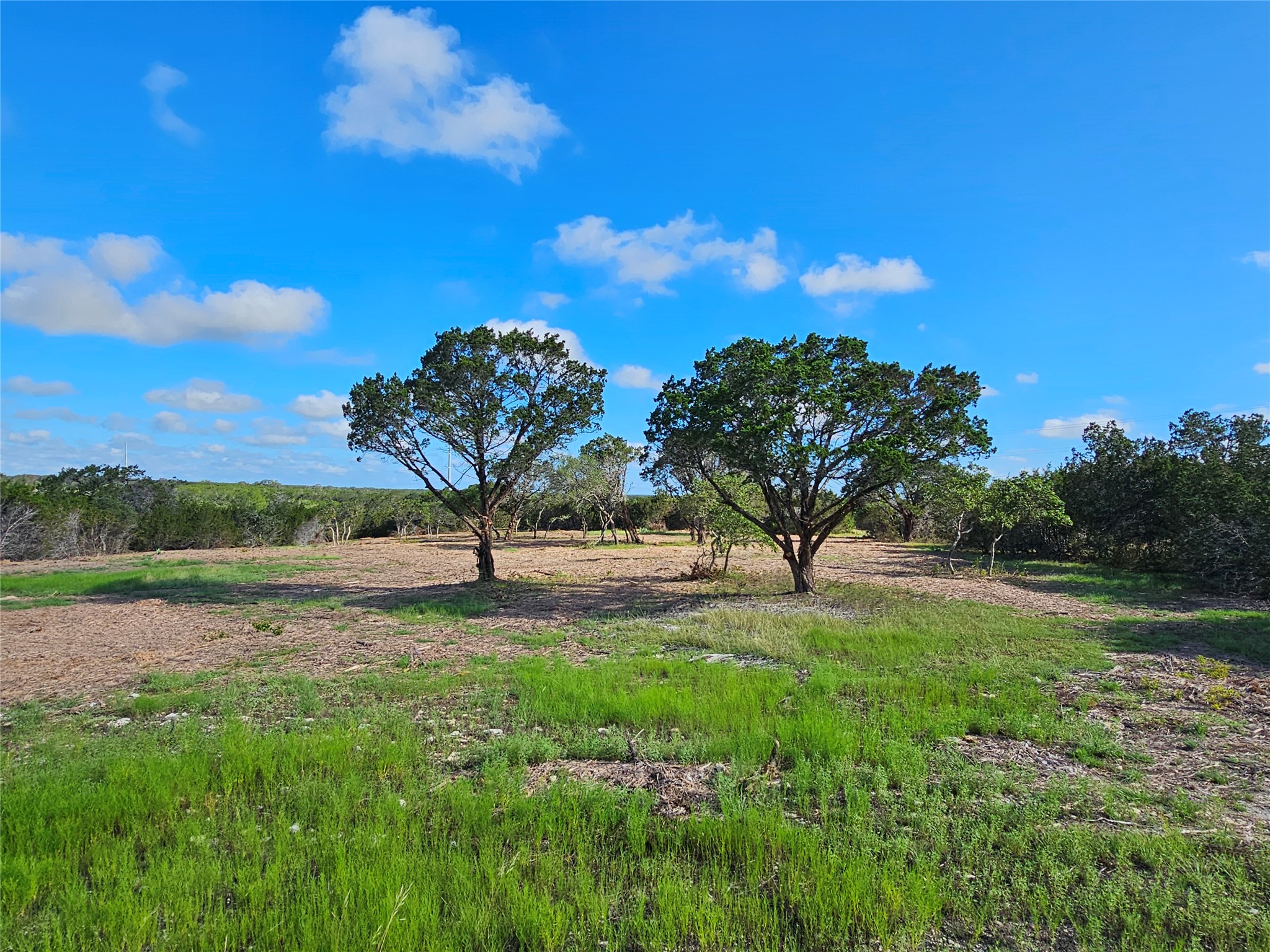 Lot 22 Riparian Elm Road Bertram, TX 78605 - Photo 5 of 10 a view of backyard with outdoor space