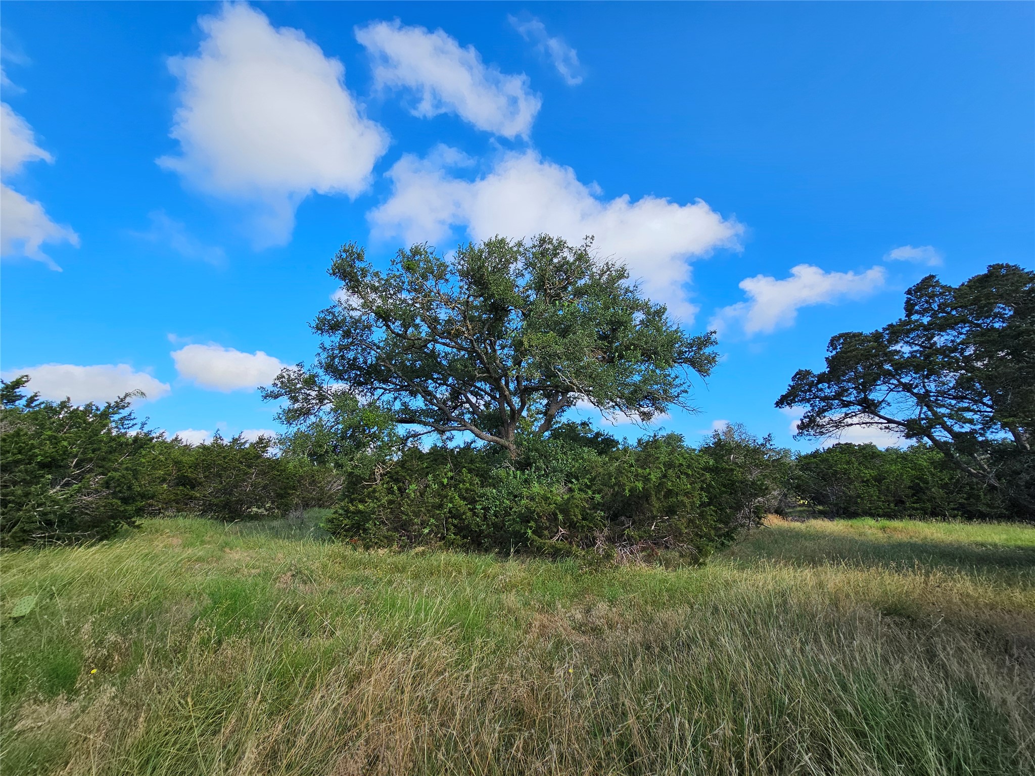 Lot 22 Riparian Elm Road Bertram, TX 78605 - Photo 6 of 10 a view of a lake