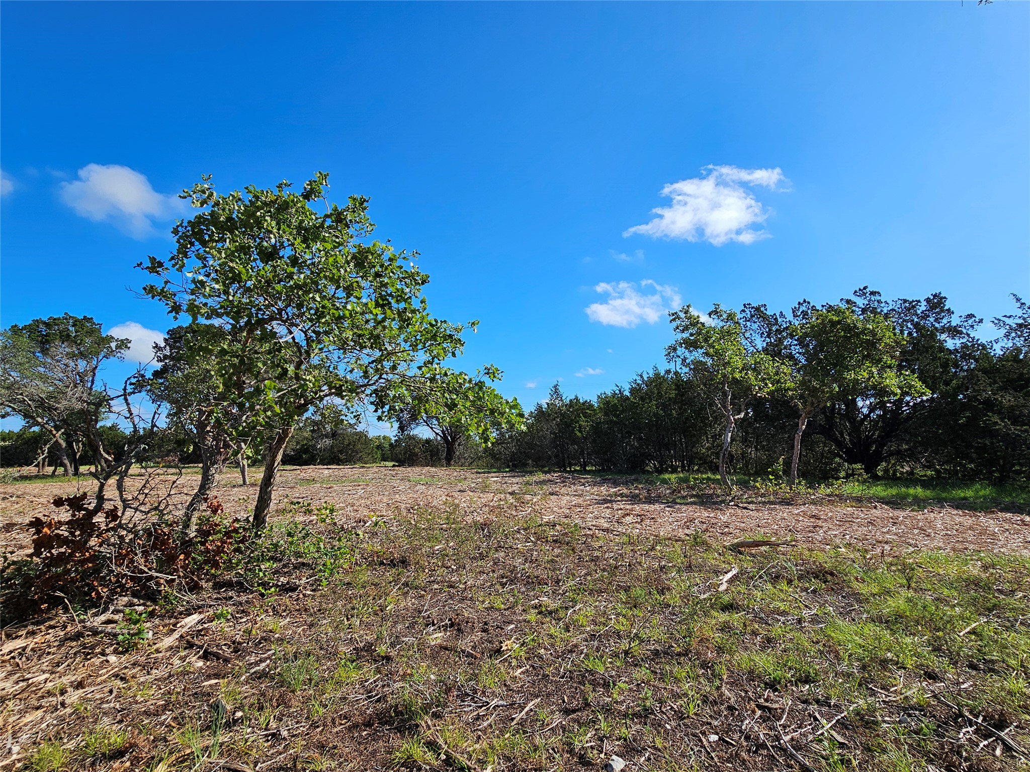 Lot 22 Riparian Elm Road Bertram, TX 78605 - Photo 7 of 10 a view of a yard with a tree