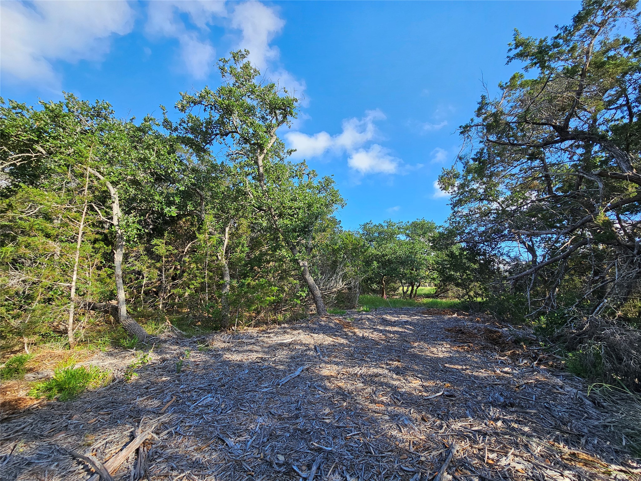 Lot 22 Riparian Elm Road Bertram, TX 78605 - Photo 10 of 10 a view of a forest with trees
