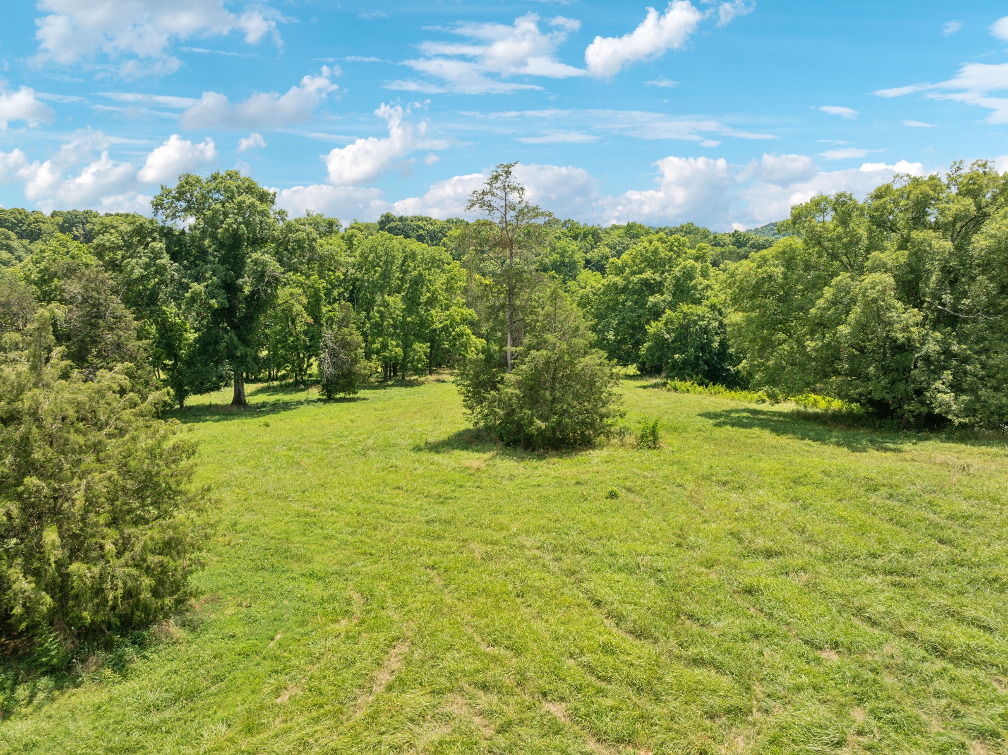 6 Double Branch Road Columbia, TN 38401 - Photo 11 of 20 a view of outdoor space and yard