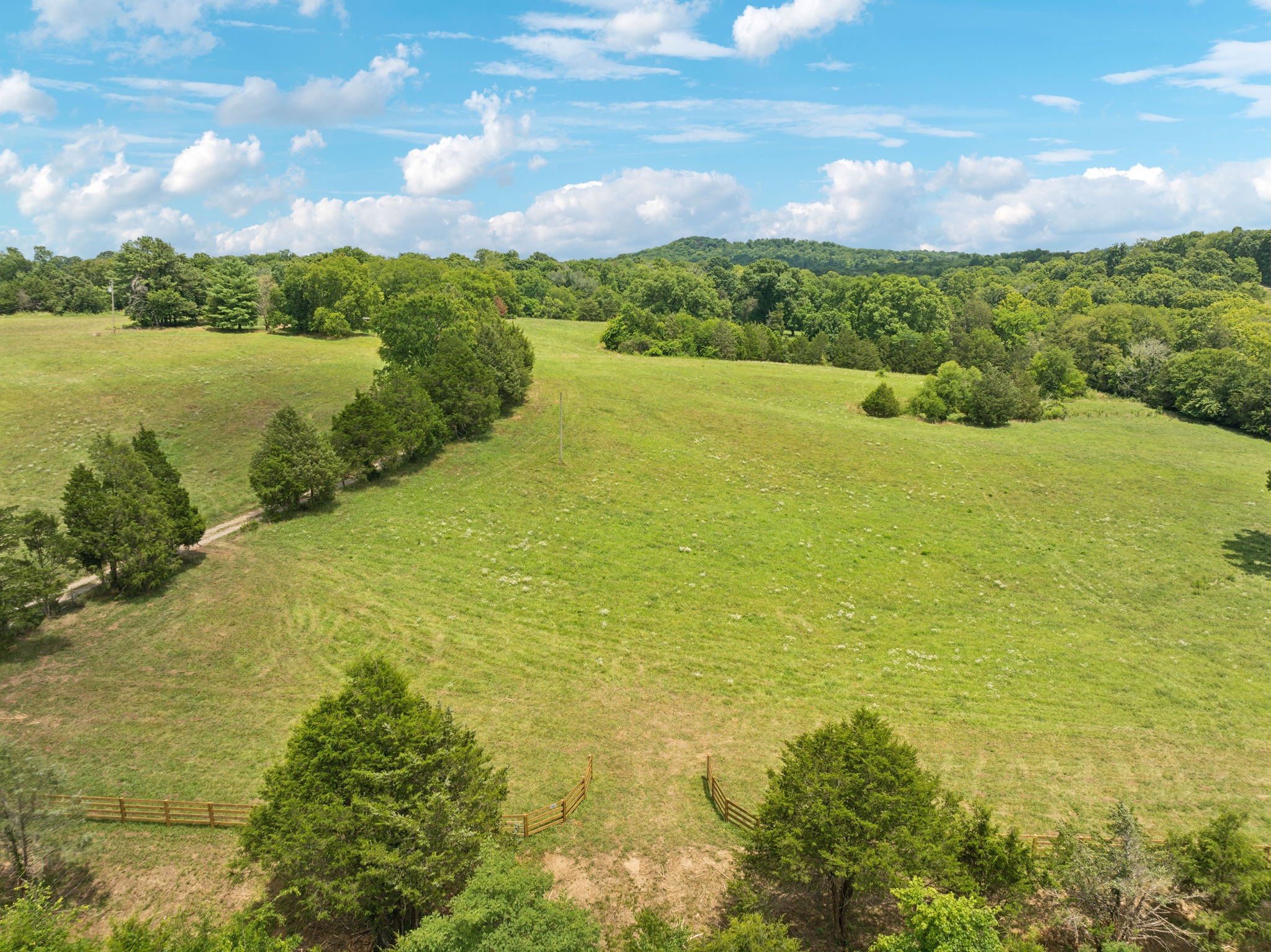 6 Double Branch Road Columbia, TN 38401 - Photo 15 of 20 a view of lake with mountain