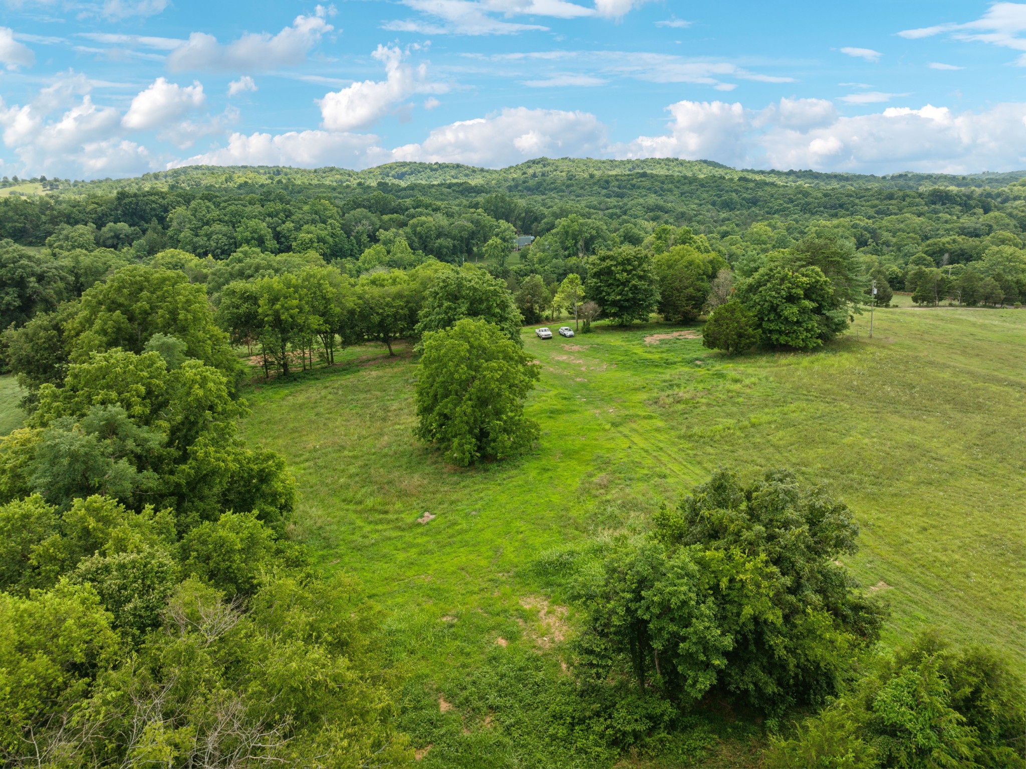 6 Double Branch Road Columbia, TN 38401 - Photo 16 of 20 a view of a lush green space
