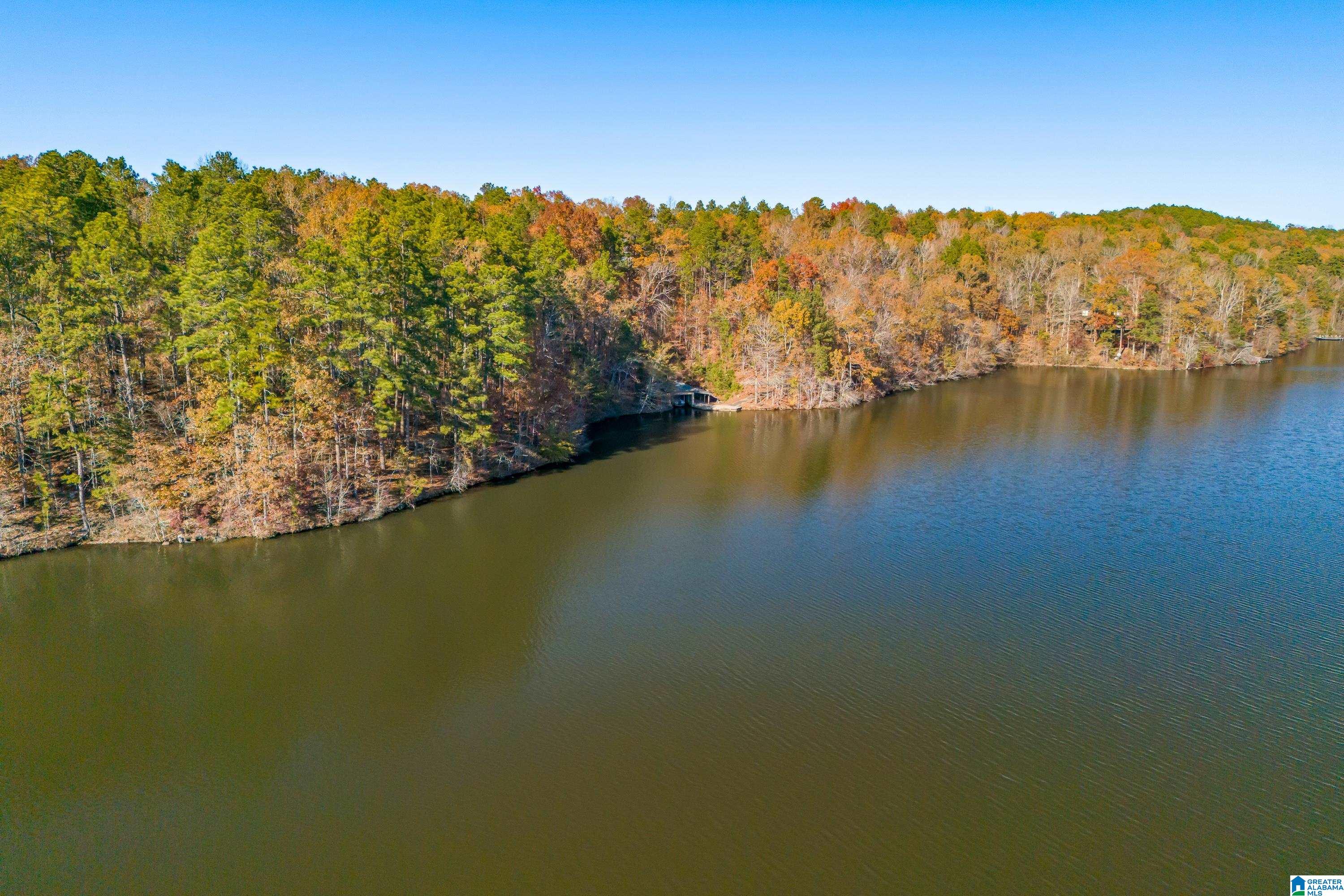0 Pumpkin Hollow Road Sterrett, AL 35147 - Photo 51 of 55