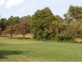 1151 Hickory Tree Road Bristol, TN 37620 - Photo 1 of 5 Photo 1