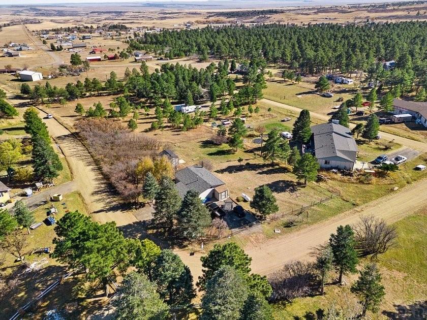 8148 Patti Drive Rye, CO 81069 - Photo 42 of 51 Gallery Image 42