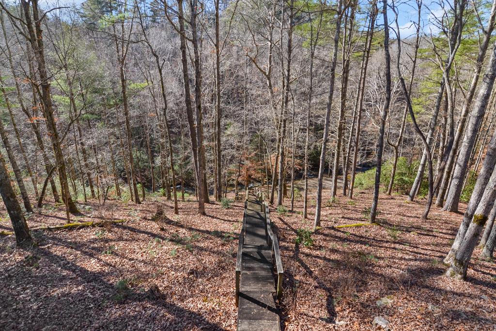 959 Lower Tails Creek Road Ellijay, GA 30540 - Photo 36 of 37 Gallery Image 36
