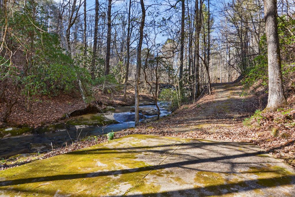 959 Lower Tails Creek Road Ellijay, GA 30540 - Photo 4 of 37 Gallery Image 4
