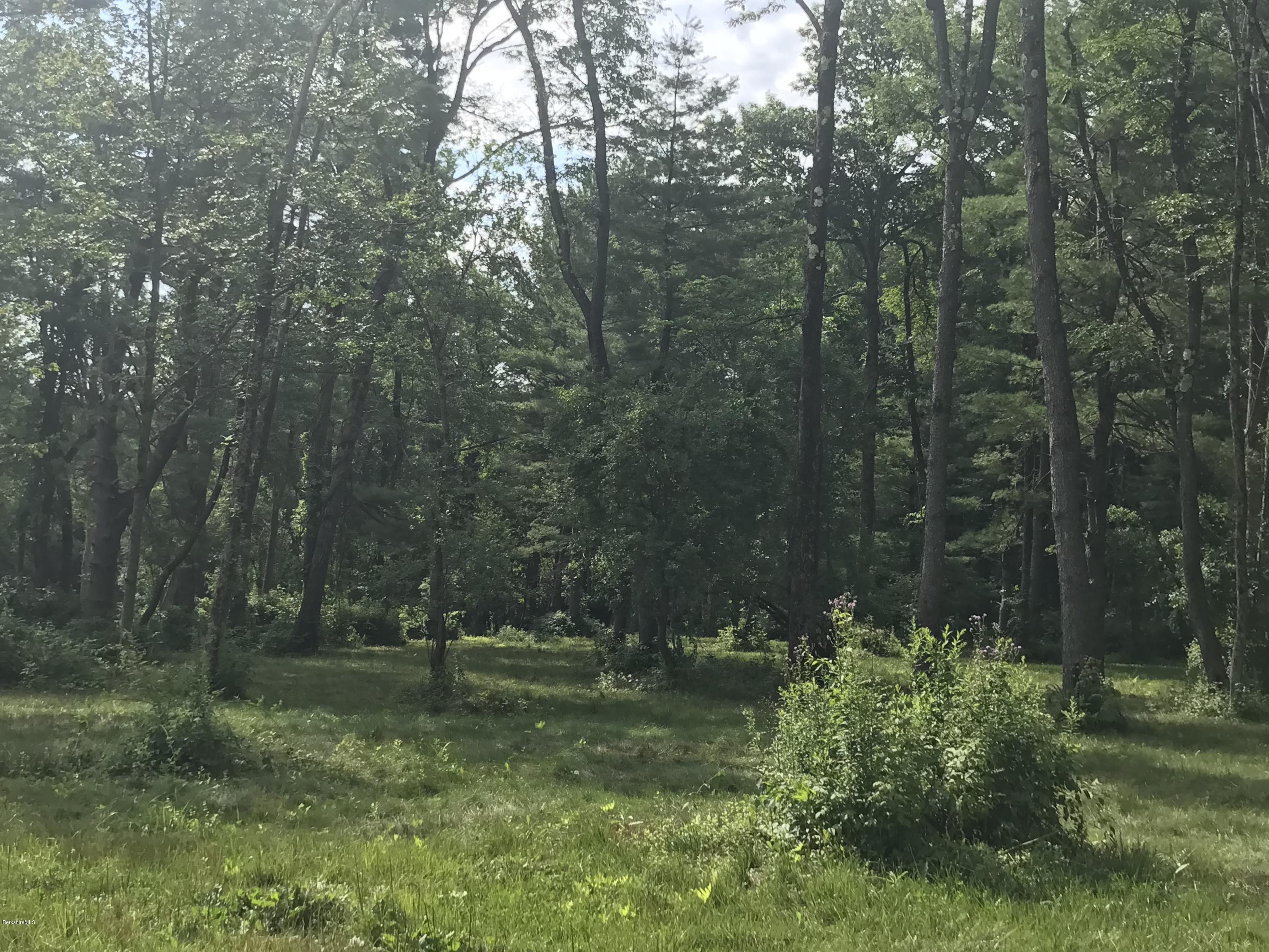 Hill Road West Stockbridge, MA 01266 - Photo 3 of 10 a view of a yard