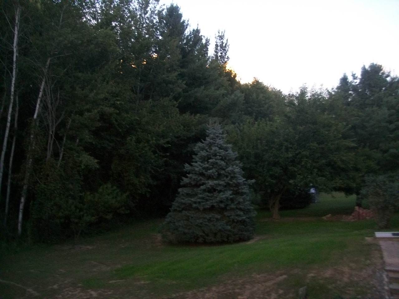 7900 West Adams Road Elwell, MI 48832 - Photo 36 of 42 1806211-35.JPG