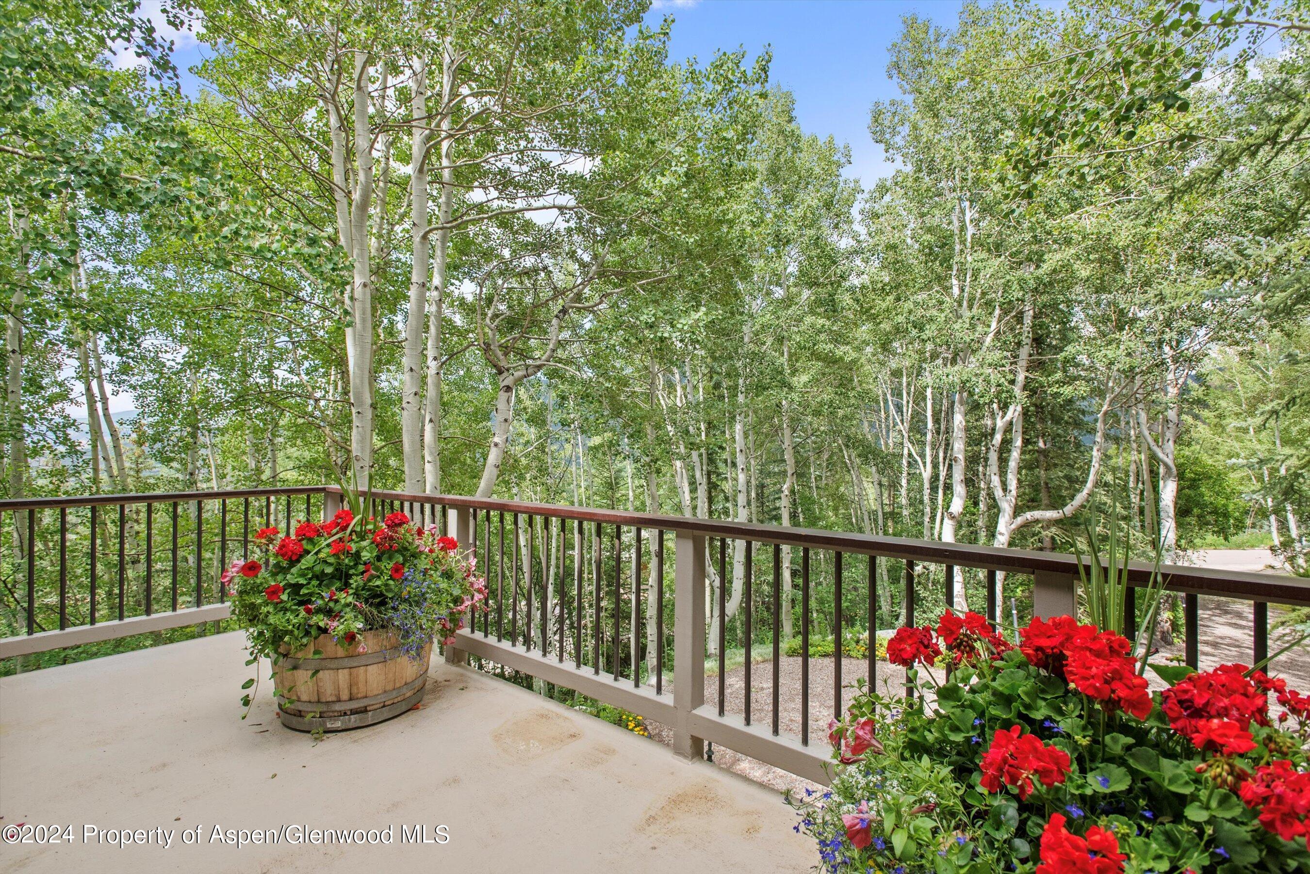 209 Larkspur Lane Aspen, CO 81611 - Photo 11 of 45 a view of a garden with flowers