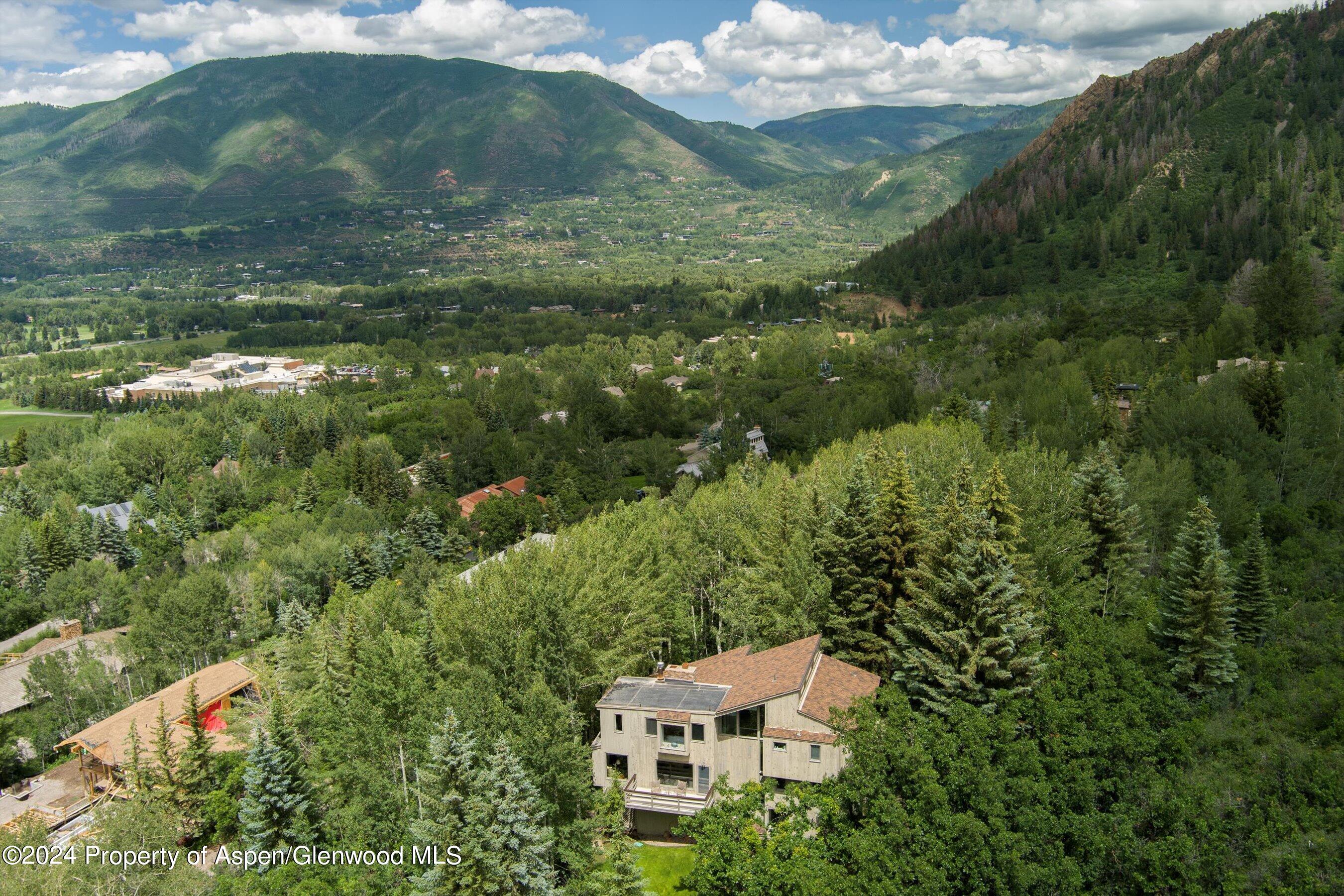 209 Larkspur Lane Aspen, CO 81611 - Photo 3 of 45 a aerial view of residential houses with outdoor space and trees