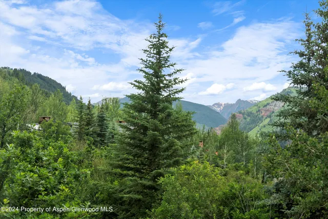 a close up of a tree in a field