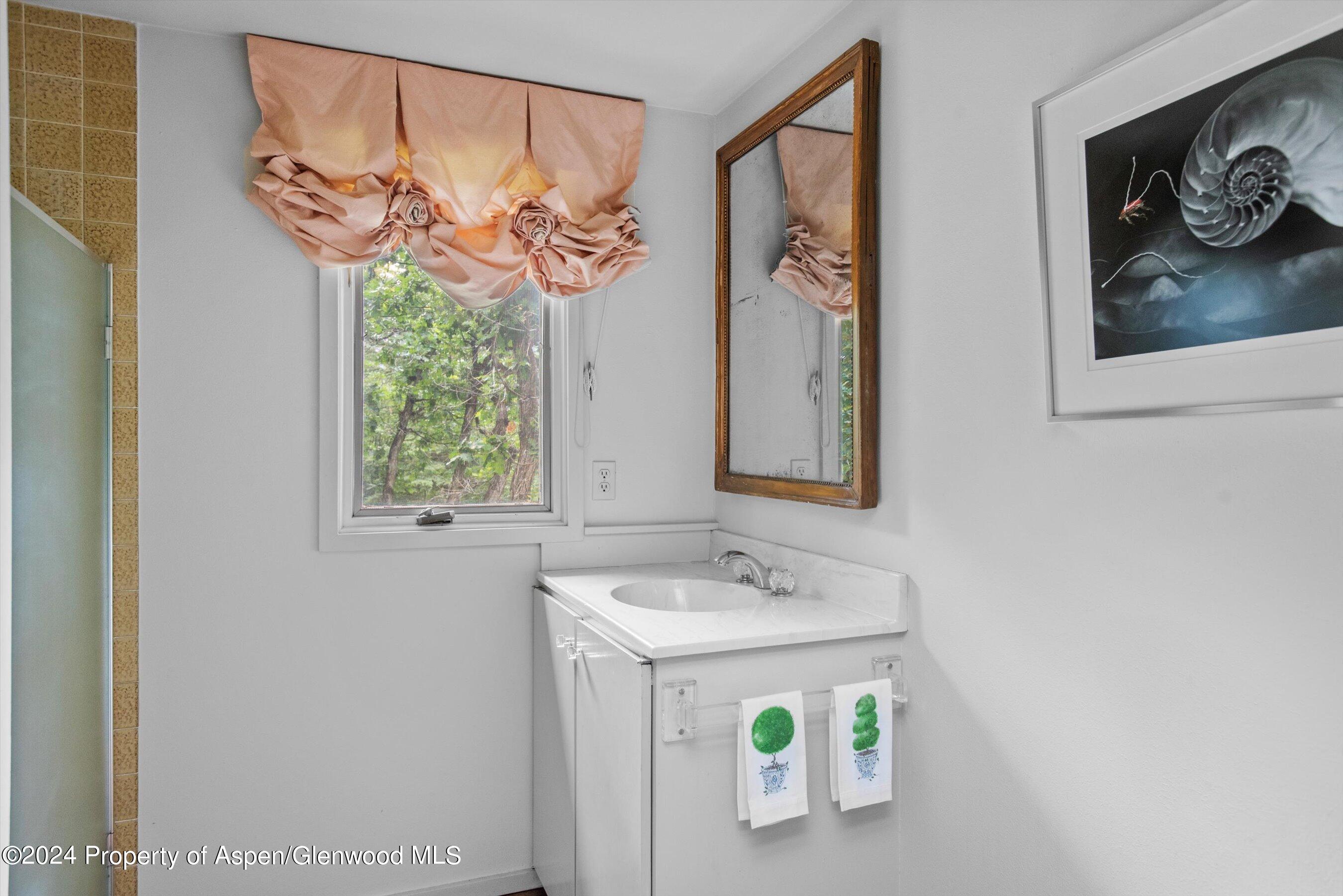 209 Larkspur Lane Aspen, CO 81611 - Photo 35 of 45 a bathroom with a sink and a mirror