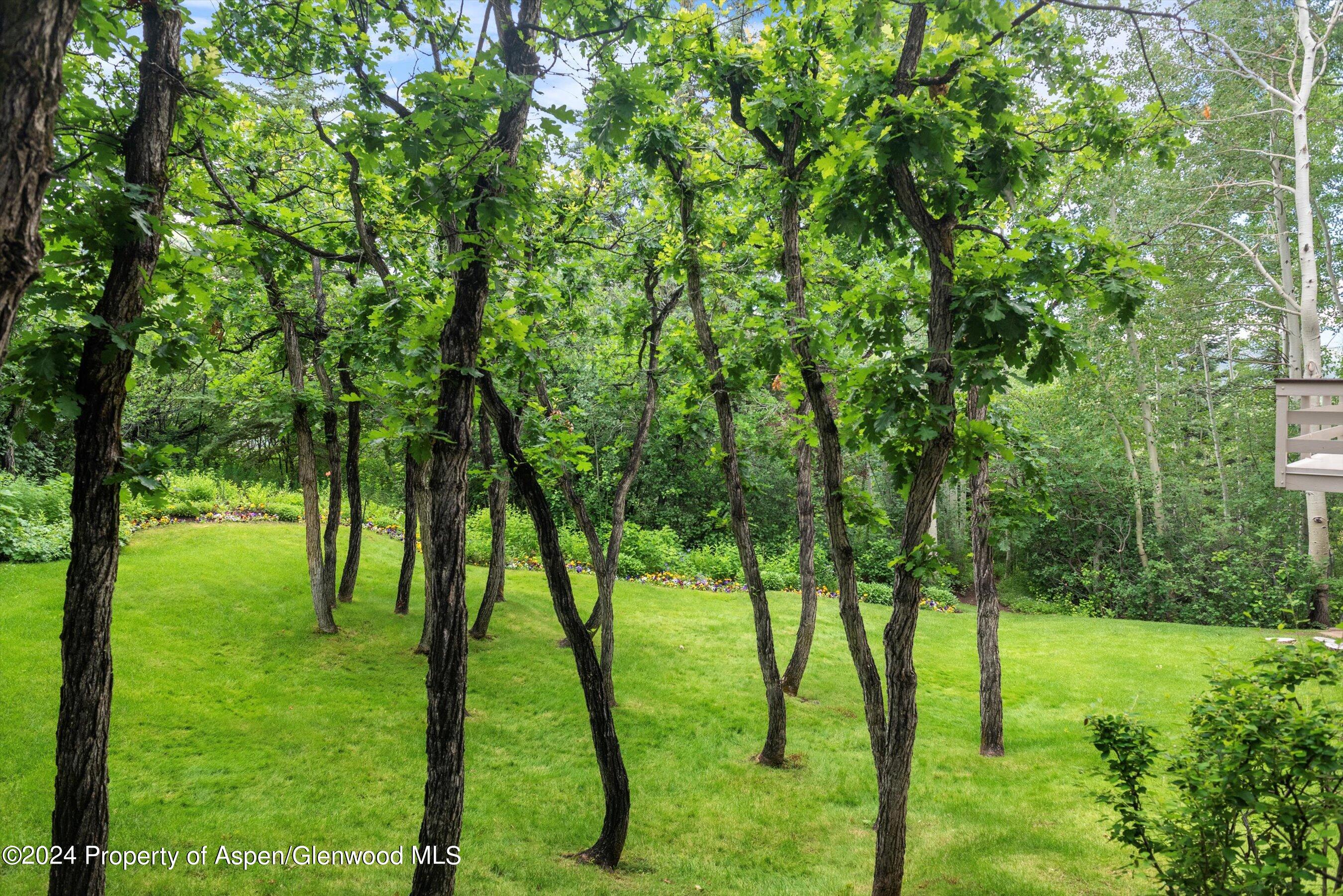209 Larkspur Lane Aspen, CO 81611 - Photo 39 of 45 a view of yard
