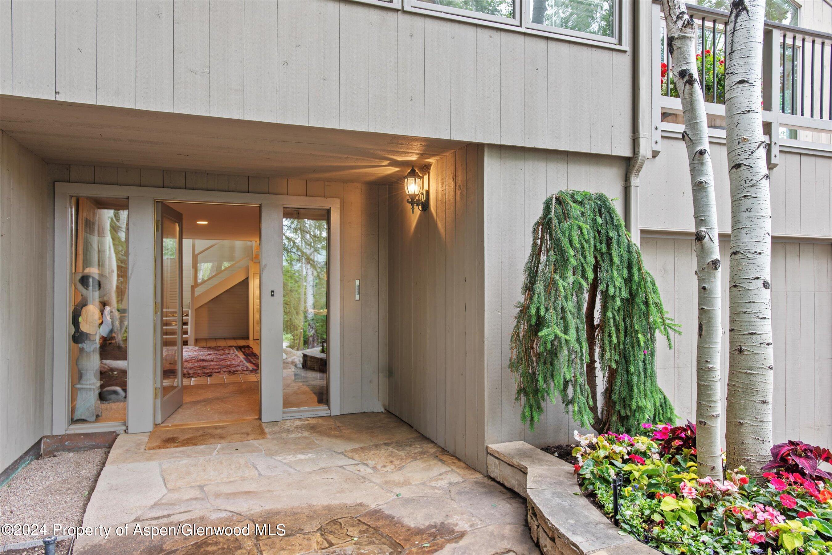 209 Larkspur Lane Aspen, CO 81611 - Photo 5 of 45 a living room filled with furniture and a potted plant