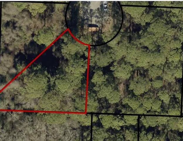 a view of a park with large trees