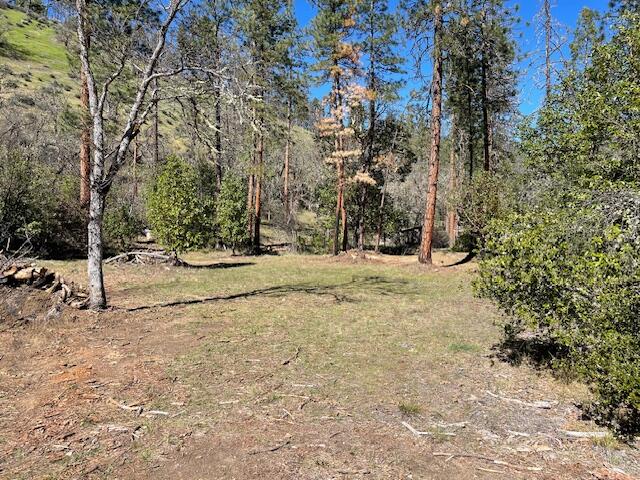 Kinney Cr Road, Unit 400 Jacksonville, OR 97530 - Photo 5 of 15