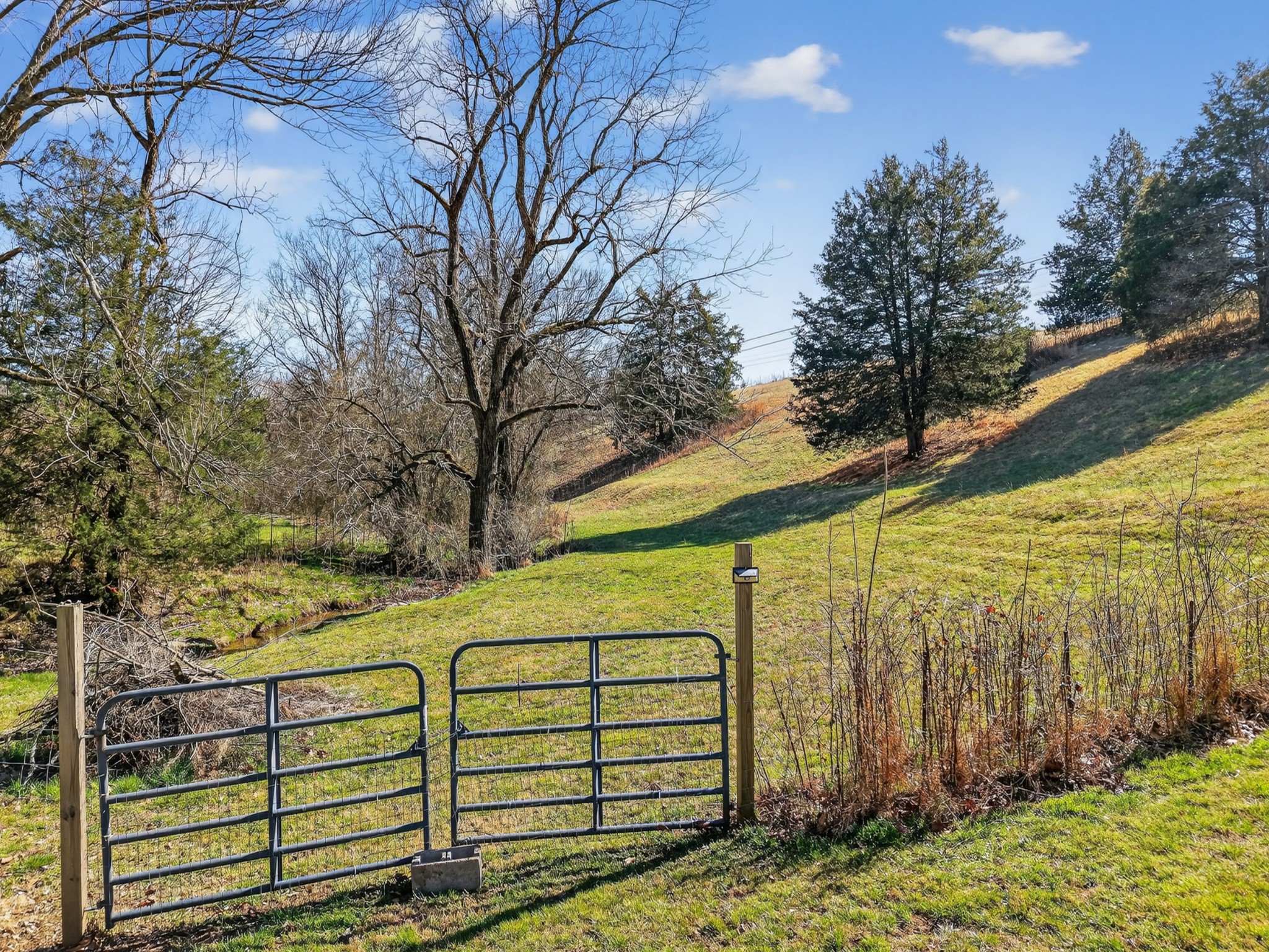 198 L Mitchell Road Flintville, TN 37335 - Photo 32 of 41 a view of a pathway with a yard