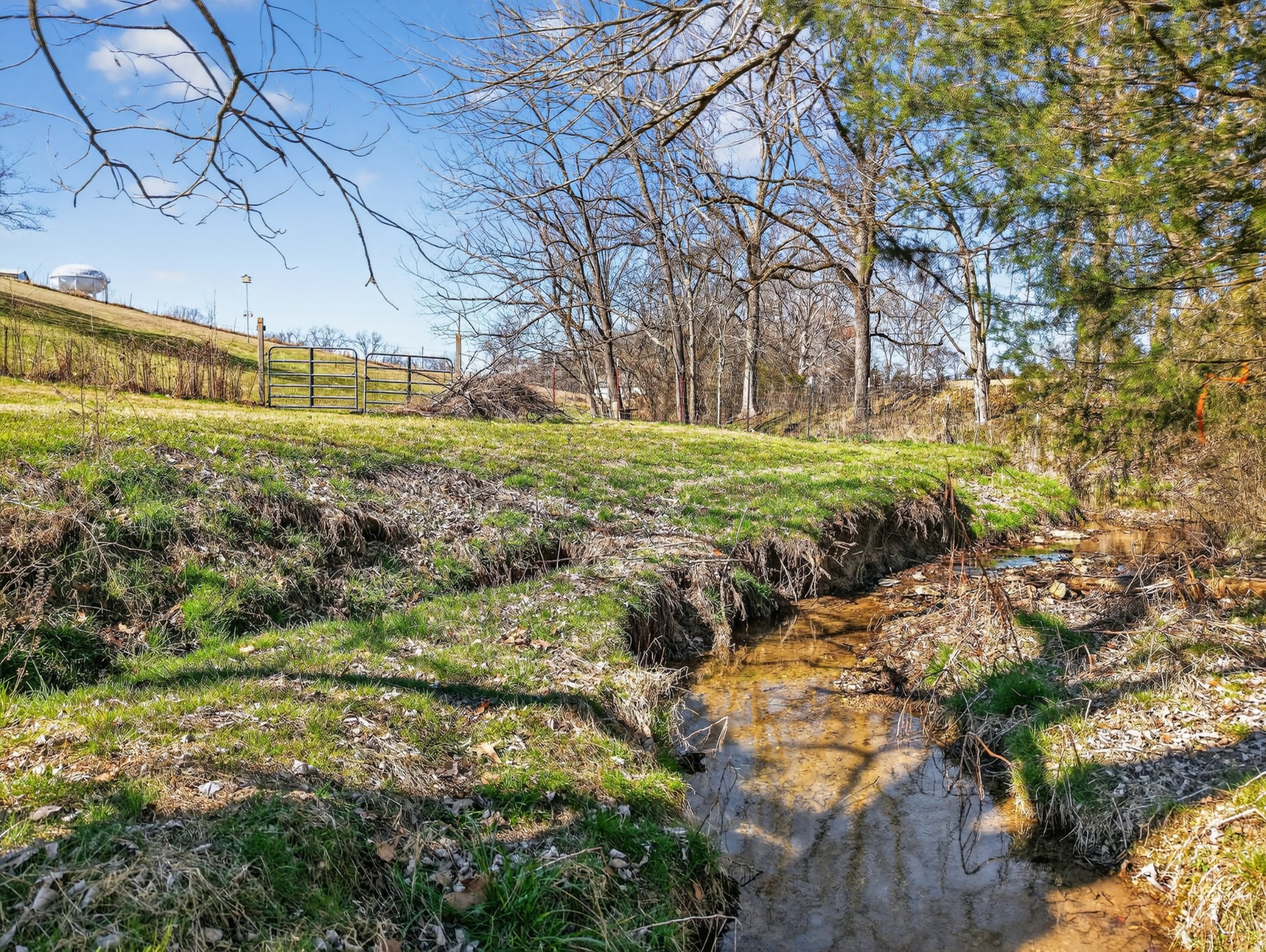 198 L Mitchell Road Flintville, TN 37335 - Photo 33 of 41 a view of a big yard with large trees
