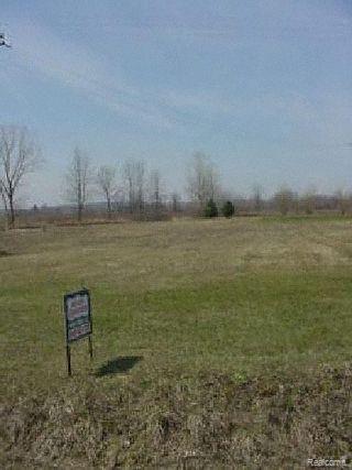 O O Cade Road Brown City, MI 48416 - Photo 1 of 1 Property Photo