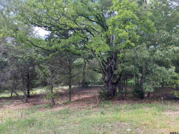 $170,000 | 2433 Wellington Trace, Tyler, TX 75709