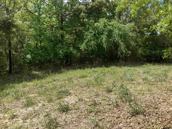 $170,000 | 2433 Wellington Trace, Tyler, TX 75709