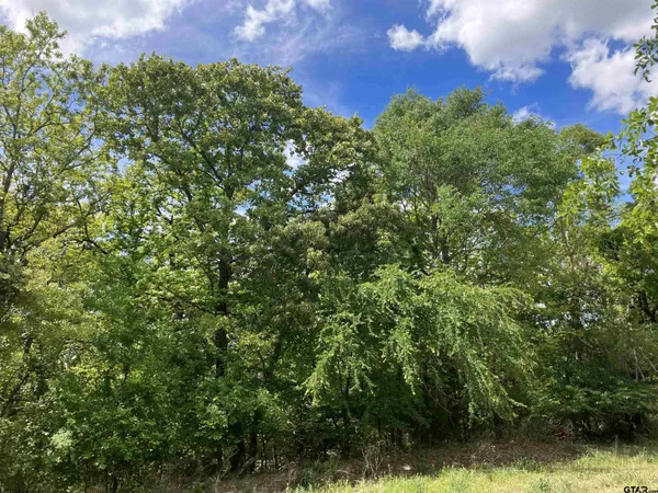 $170,000 | 2433 Wellington Trace, Tyler, TX 75709