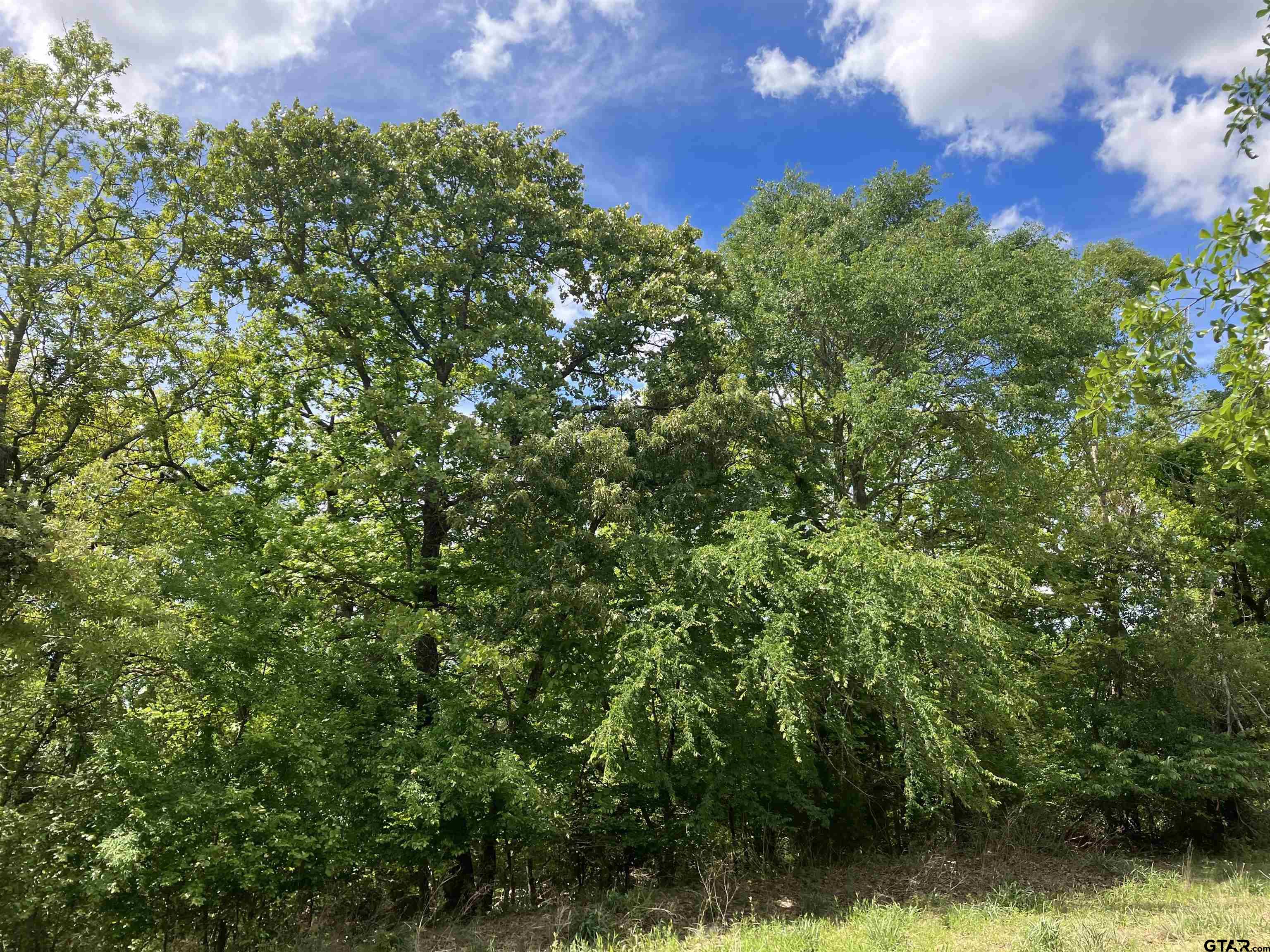 2433 Wellington Trace Tyler, TX 75709 - Photo 5 of 6