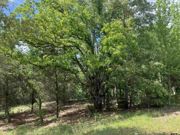 $170,000 | 2433 Wellington Trace, Tyler, TX 75709