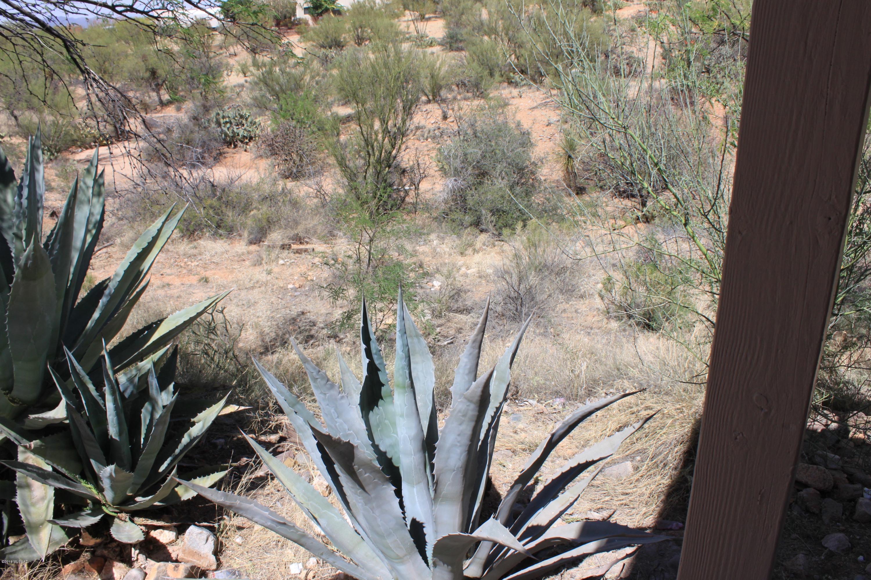 15964 West Ravinia Avenue Tucson, AZ 85736 - Photo 38 of 40 Gallery Image 38