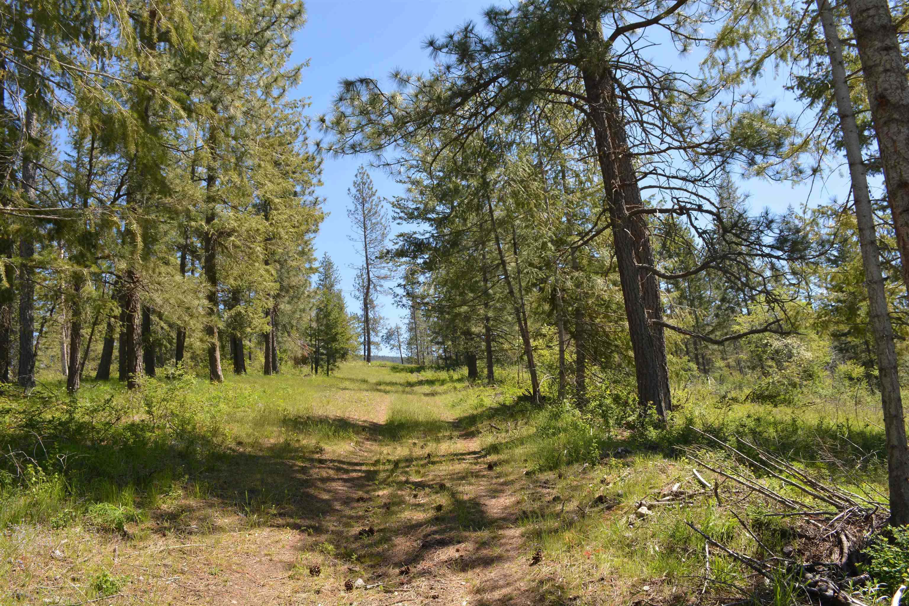 Xxx East Deer Creek Road Chattaroy, WA 99003 - Photo 15 of 17