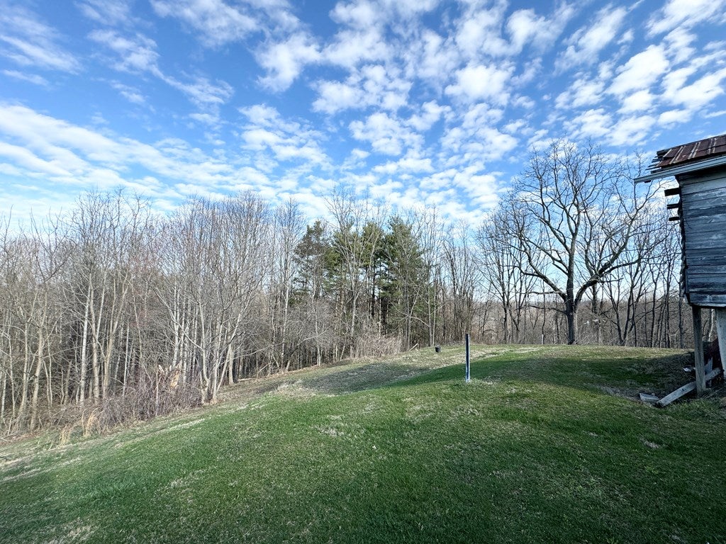4110 Smith Ridge Road Jewell Ridge, VA 24622 - Photo 26 of 46 Gallery Image 26