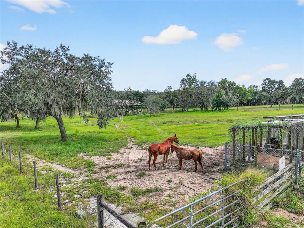 301 H L Smith Road Haines City, FL 33844 - Photo 51 of 65