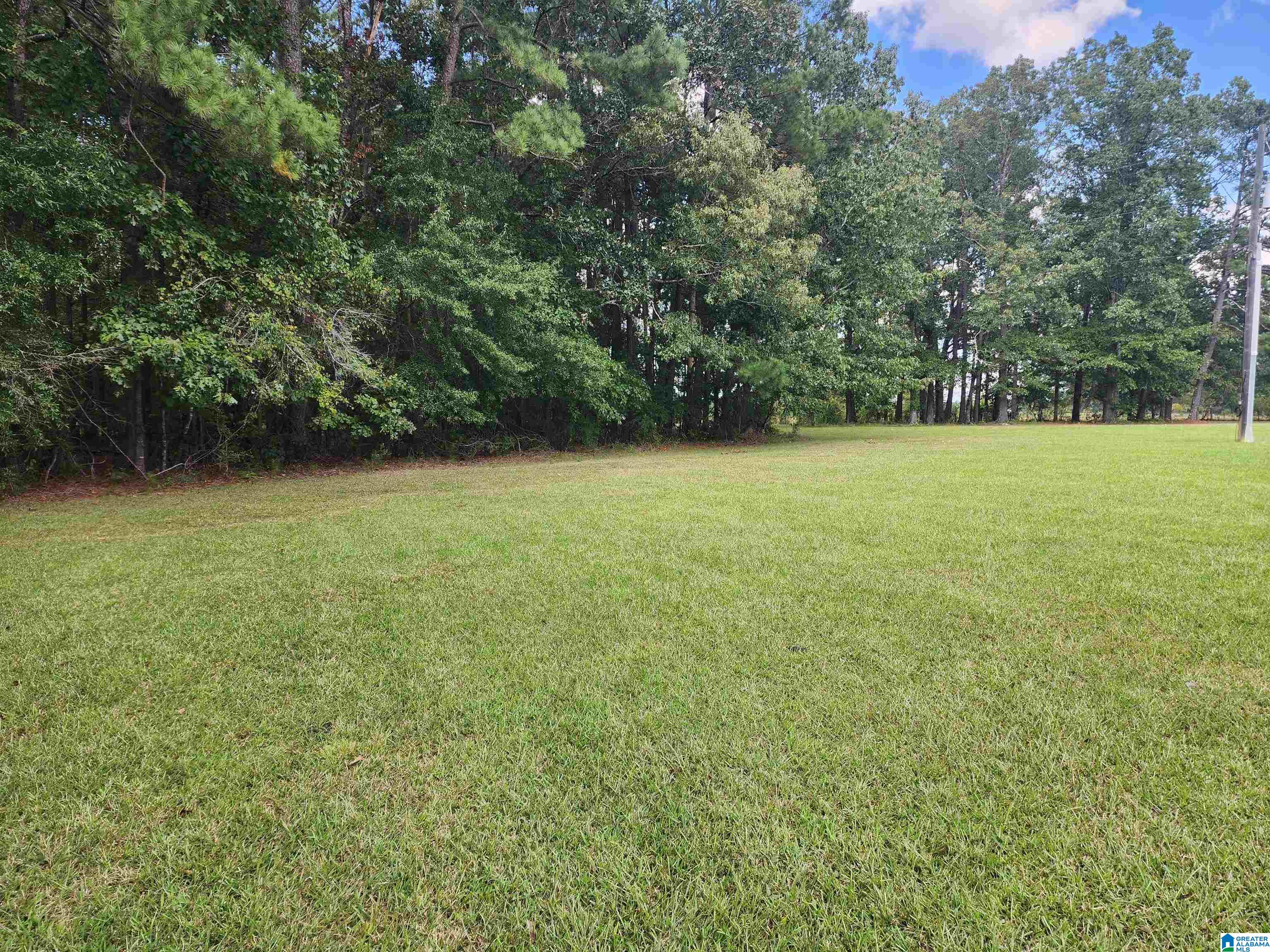 3651 Steele Station Road Rainbow City, AL 35906 - Photo 58 of 63