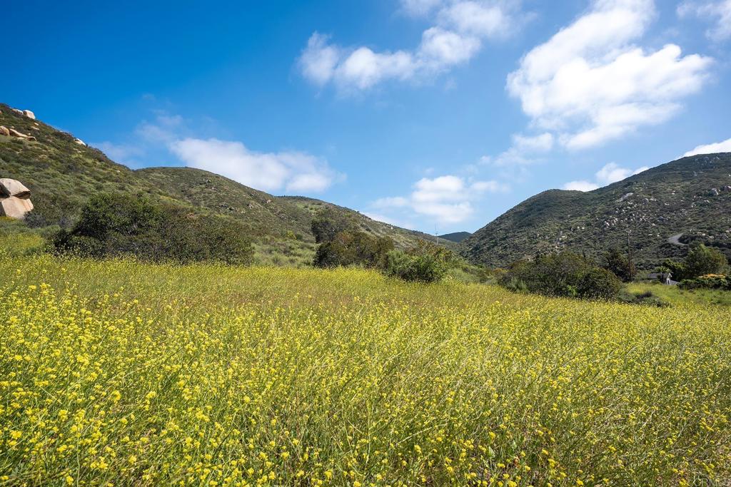 0 Summit Avenue Santee, CA 92071 - Photo 13 of 16 a view of an lake and mountain