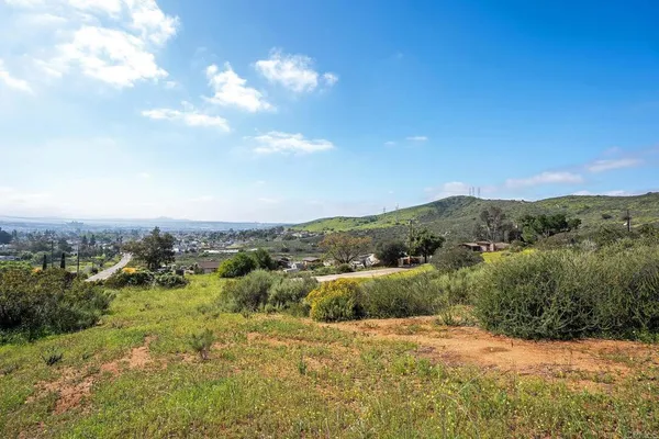 a view of a city with lush green forest